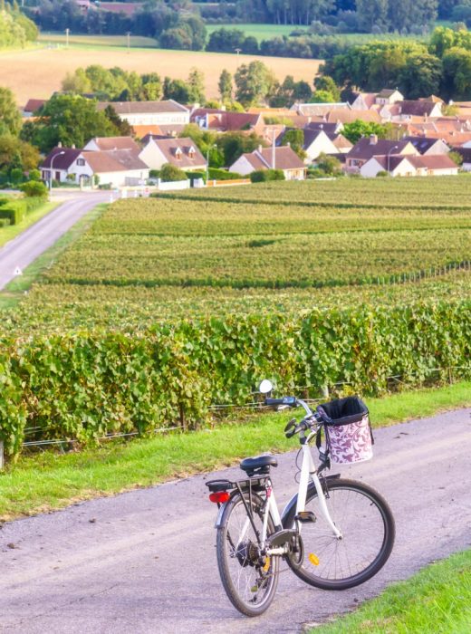 bicycle-on-the-road-on-row-vine-green-grape-in-champagne-vineyards-at-picture-id869551080