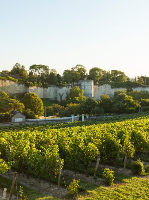 route-des-vins-val-de-loire_2